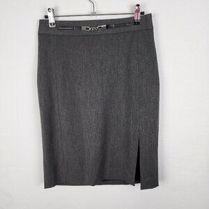 Express Pencil Skirt 2